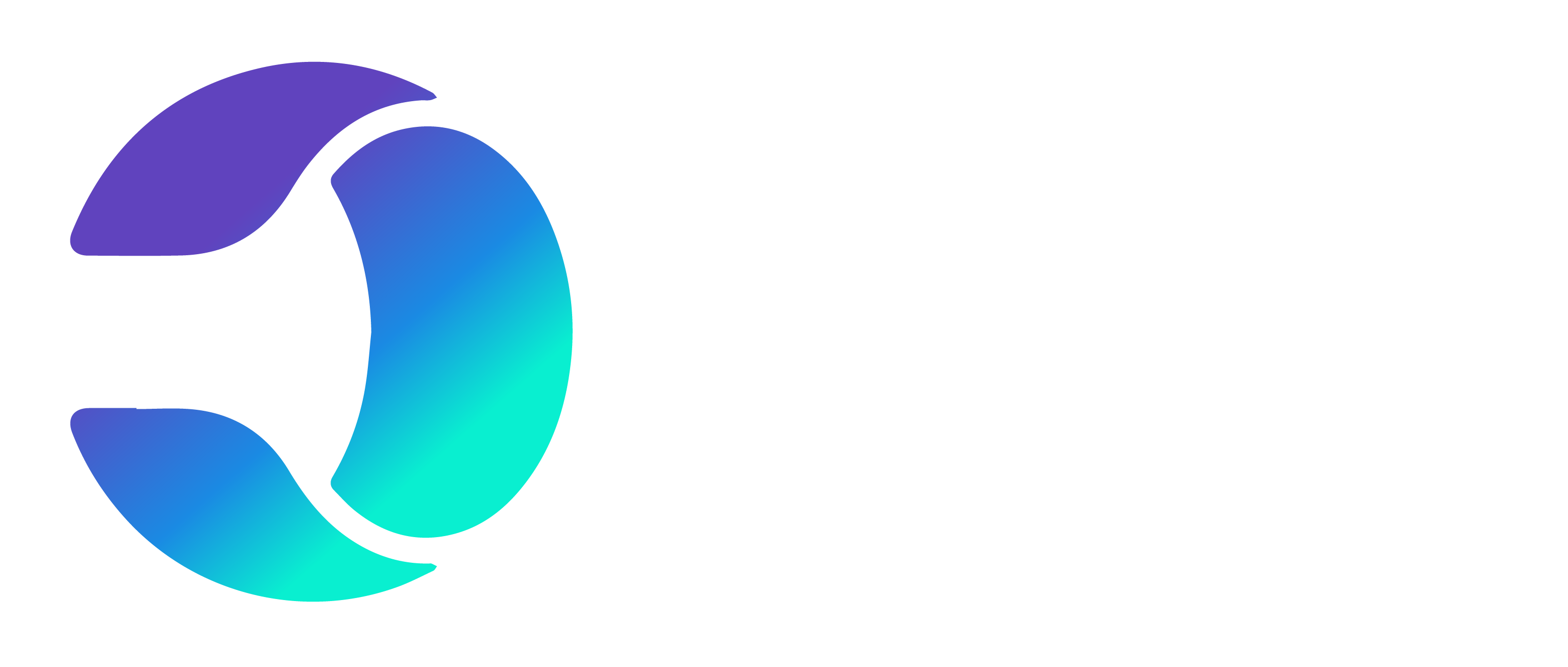 Executive Partners